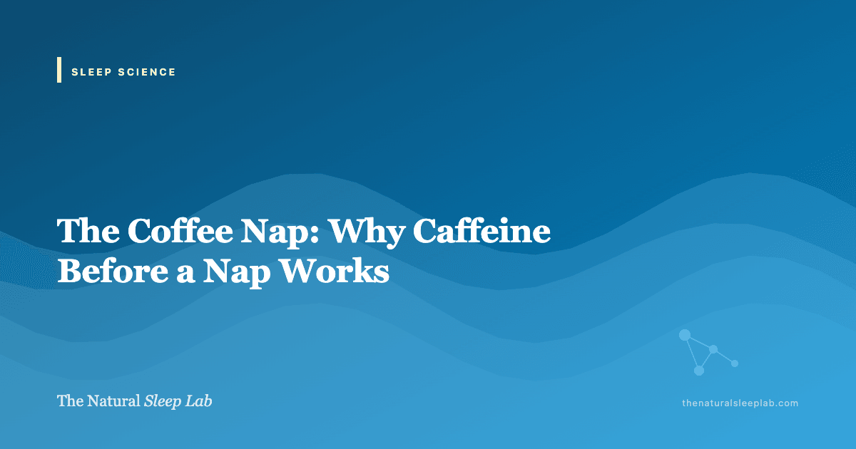 The Coffee Nap: Why Caffeine Before a Nap Works — The Natural Sleep Lab illustrated guide