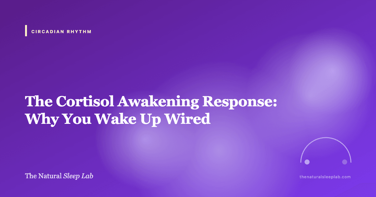 The Cortisol Awakening Response: Why You Wake Up Wired — The Natural Sleep Lab illustrated guide