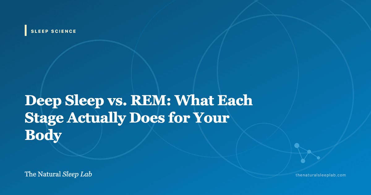 Deep Sleep vs. REM: What Each Stage Actually Does for Your Body — The Natural Sleep Lab illustrated guide