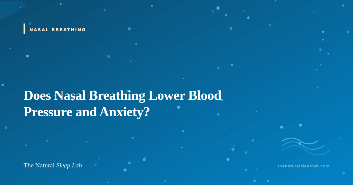 Does Nasal Breathing Lower Blood Pressure and Anxiety? — The Natural Sleep Lab illustrated guide