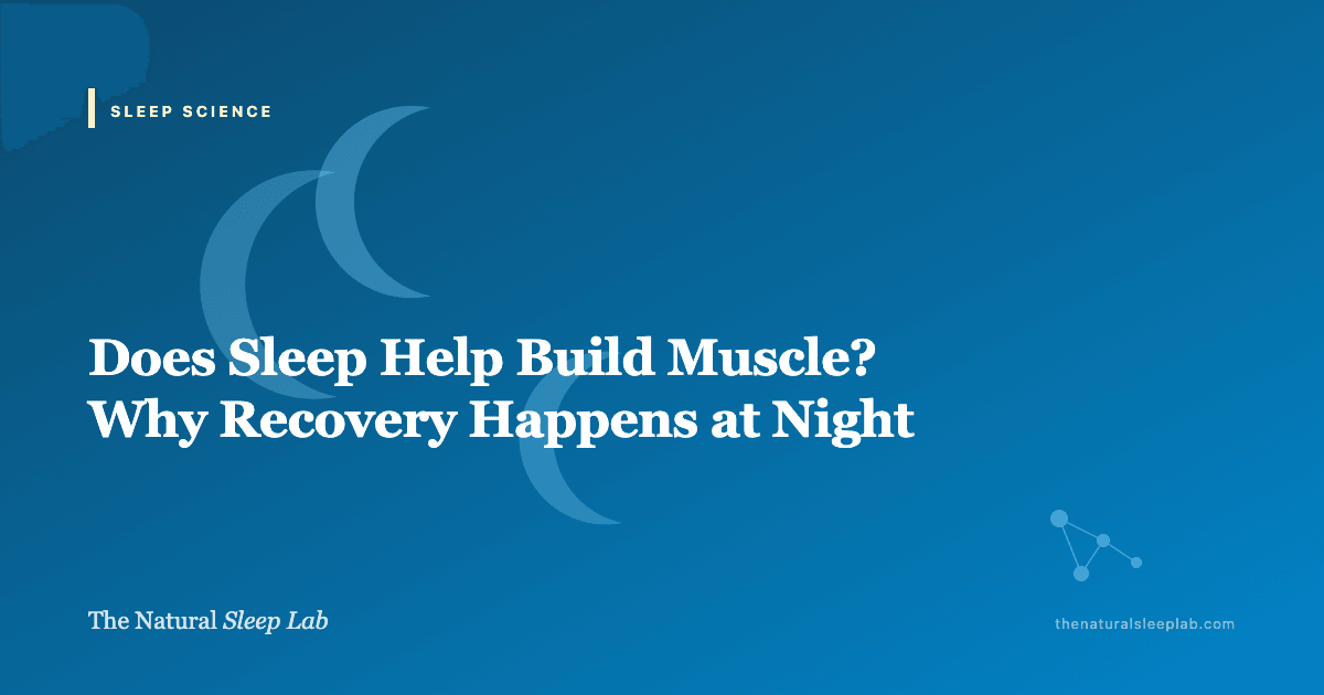 Does Sleep Help Build Muscle? Why Recovery Happens at Night — The Natural Sleep Lab illustrated guide