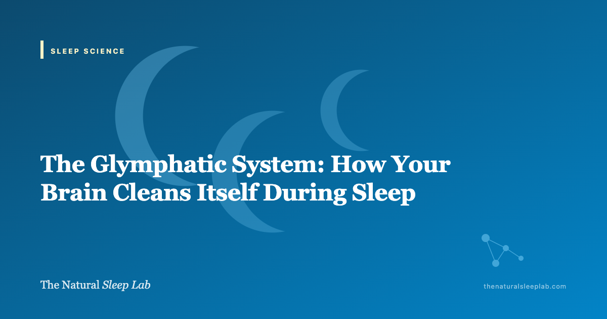The Glymphatic System: How Your Brain Cleans Itself During Sleep — The Natural Sleep Lab illustrated guide