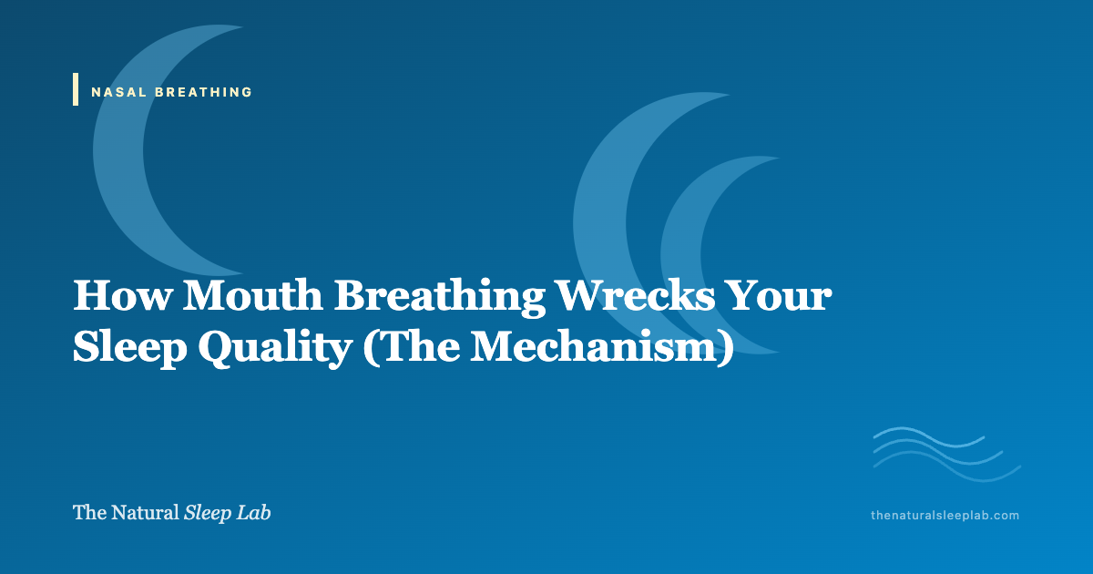 How Mouth Breathing Wrecks Your Sleep Quality (The Mechanism) — The Natural Sleep Lab illustrated guide