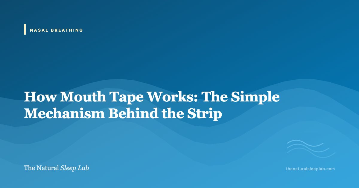 How Mouth Tape Works: The Simple Mechanism Behind the Strip — The Natural Sleep Lab illustrated guide