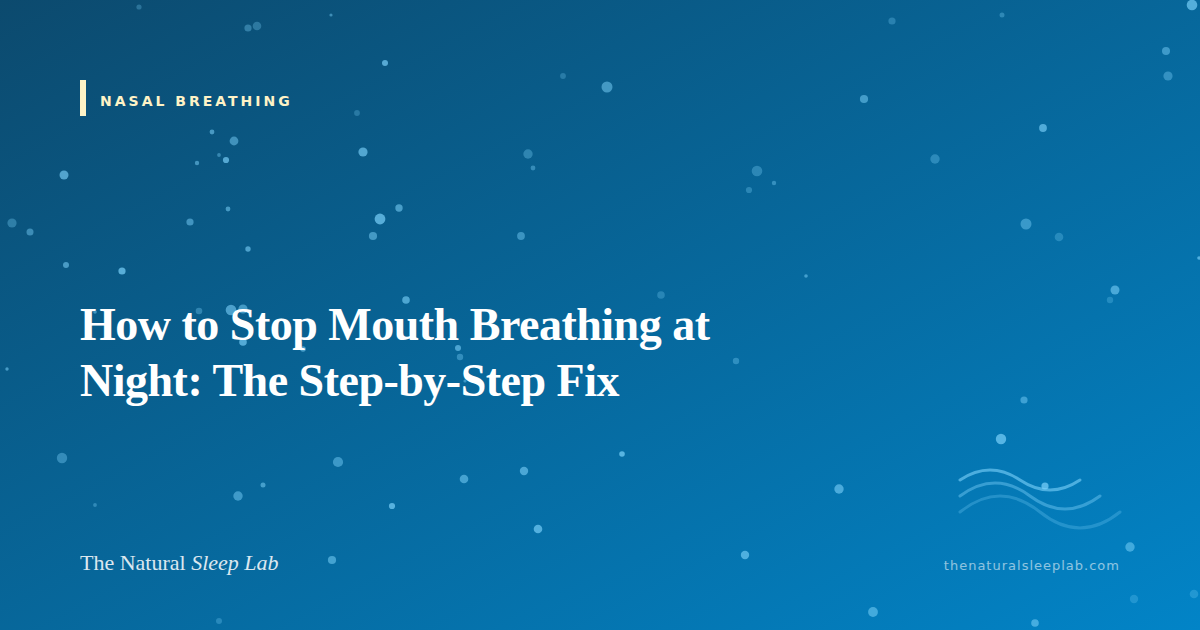 How to Stop Mouth Breathing at Night: The Step-by-Step Fix — The Natural Sleep Lab illustrated guide