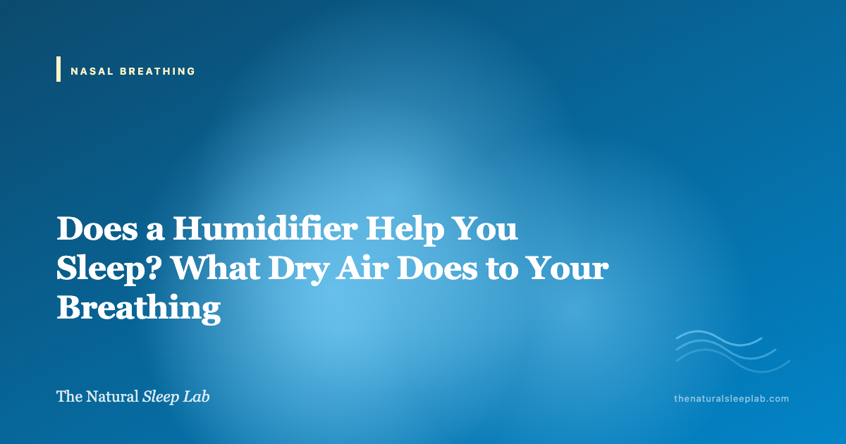 Does a Humidifier Help You Sleep? What Dry Air Does to Your Breathing — The Natural Sleep Lab illustrated guide