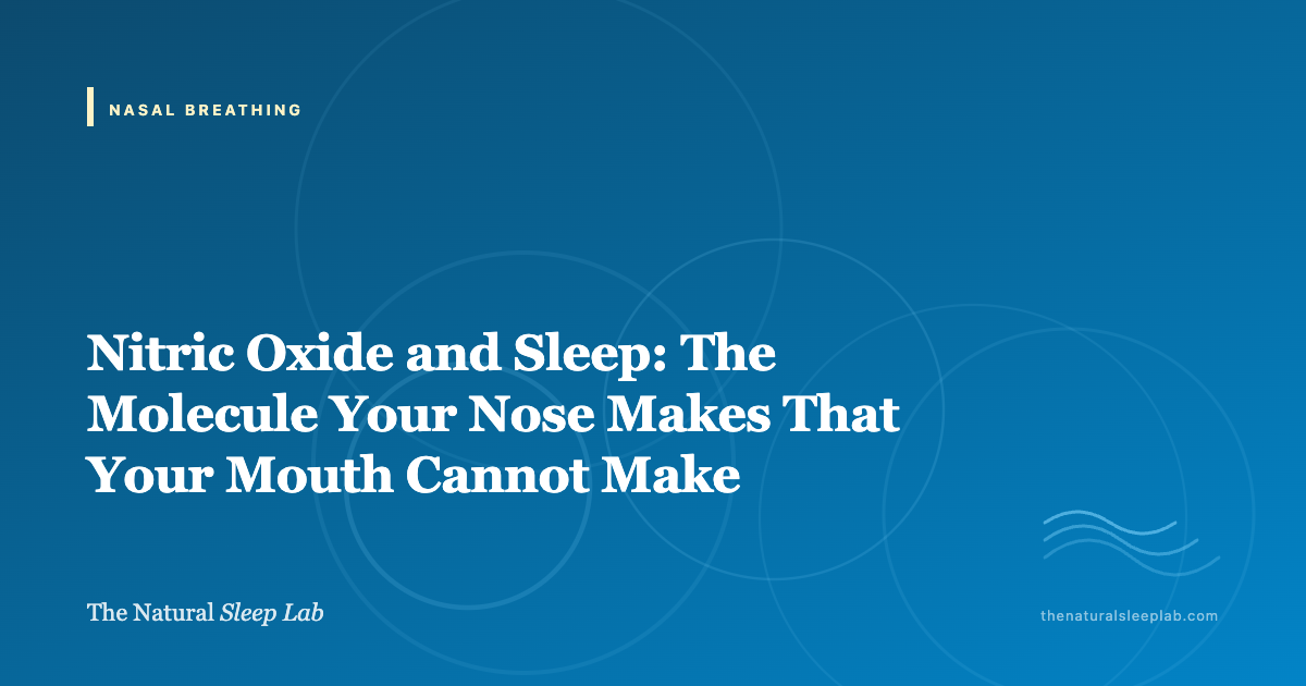 Nitric Oxide and Sleep: The Molecule Your Nose Makes That Your Mouth Cannot Make — The Natural Sleep Lab illustrated guide