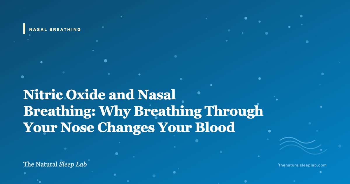 Nitric Oxide and Nasal Breathing: Why Breathing Through Your Nose Changes Your Blood — The Natural Sleep Lab illustrated guide