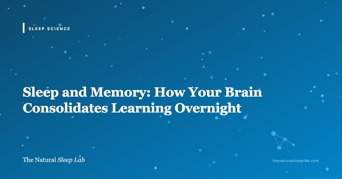 Sleep and Memory: How Your Brain Consolidates Learning Overnight — The Natural Sleep Lab illustrated guide