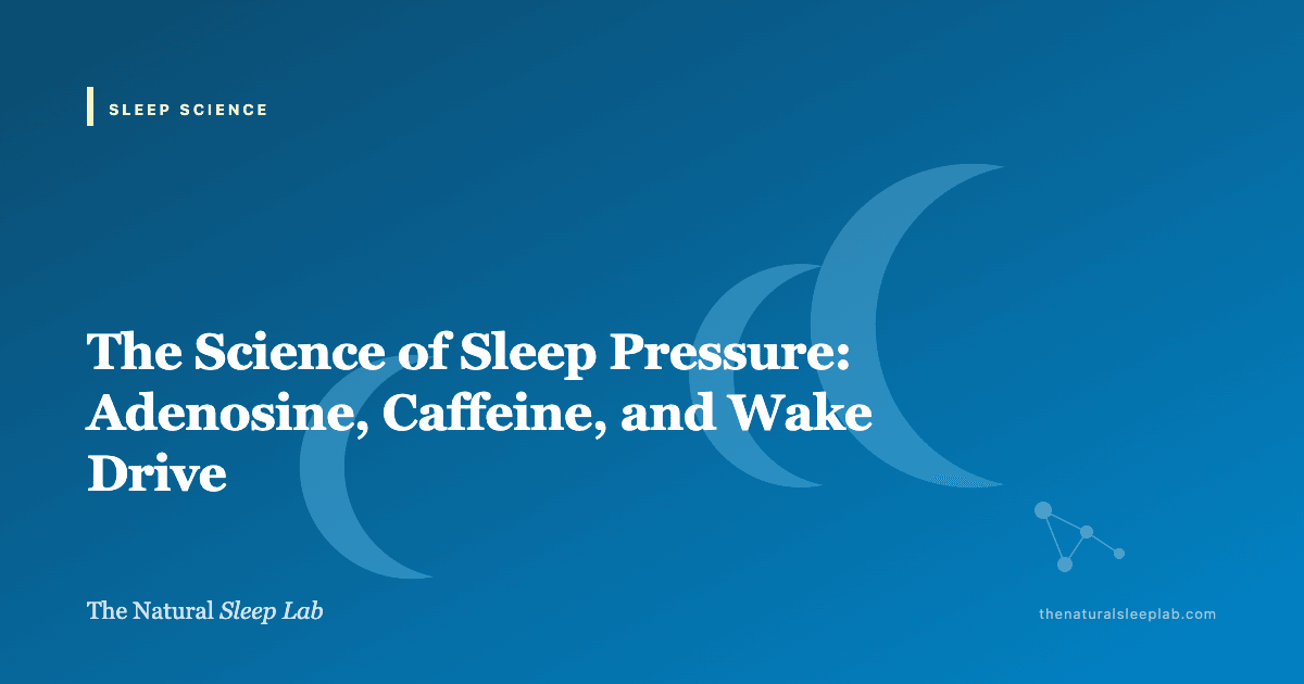 The Science of Sleep Pressure: Adenosine, Caffeine, and Wake Drive — The Natural Sleep Lab illustrated guide