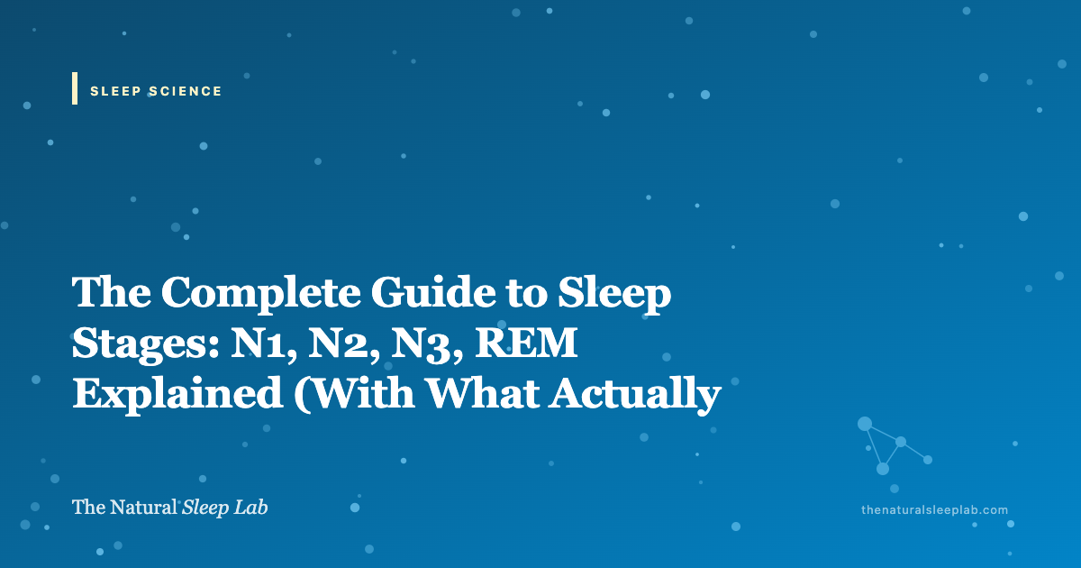 The Complete Guide to Sleep Stages: N1, N2, N3, REM Explained (With What Actually Happens in Each) — The Natural Sleep Lab illustrated guide