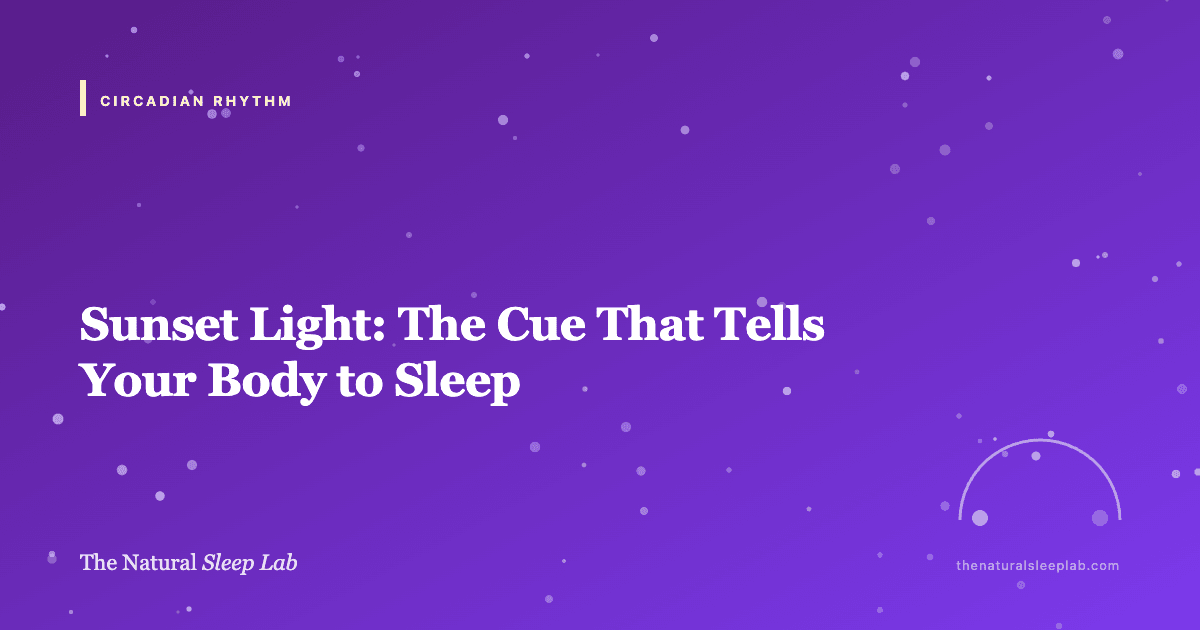 Sunset Light: The Cue That Tells Your Body to Sleep — The Natural Sleep Lab illustrated guide
