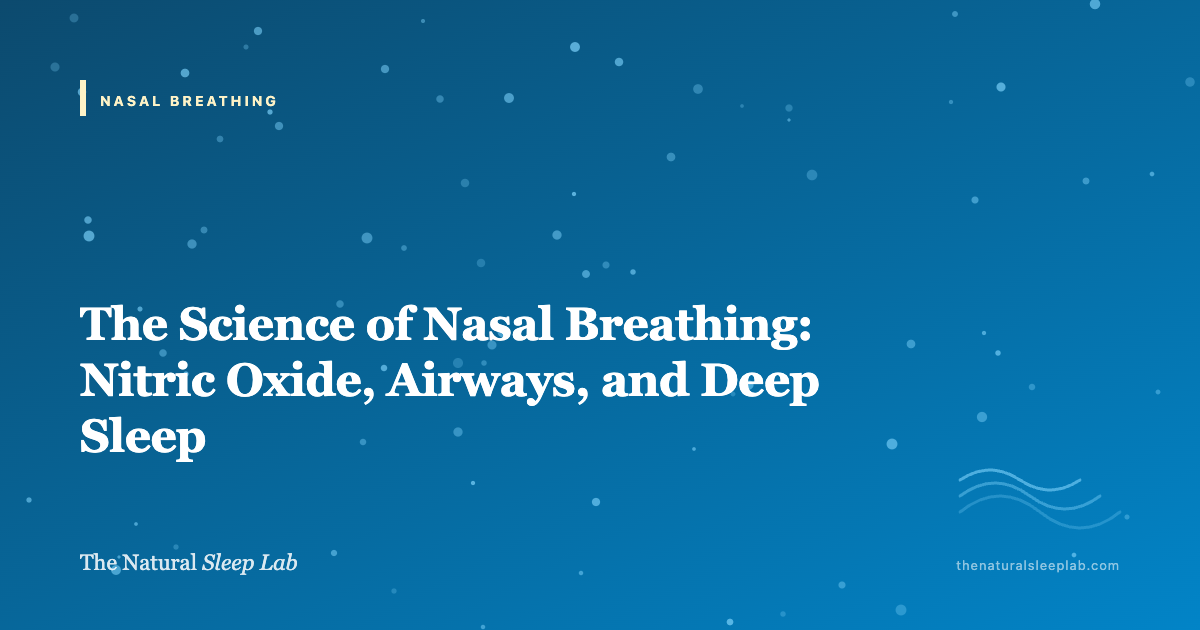 The Science of Nasal Breathing: Nitric Oxide, Airways, and Deep Sleep — The Natural Sleep Lab illustrated guide