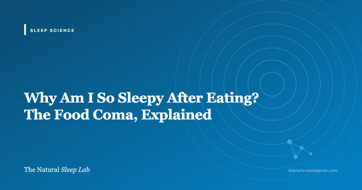 Why Am I So Sleepy After Eating? The Food Coma, Explained — The Natural Sleep Lab illustrated guide
