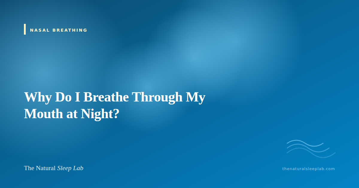 Why Do I Breathe Through My Mouth at Night? — The Natural Sleep Lab illustrated guide