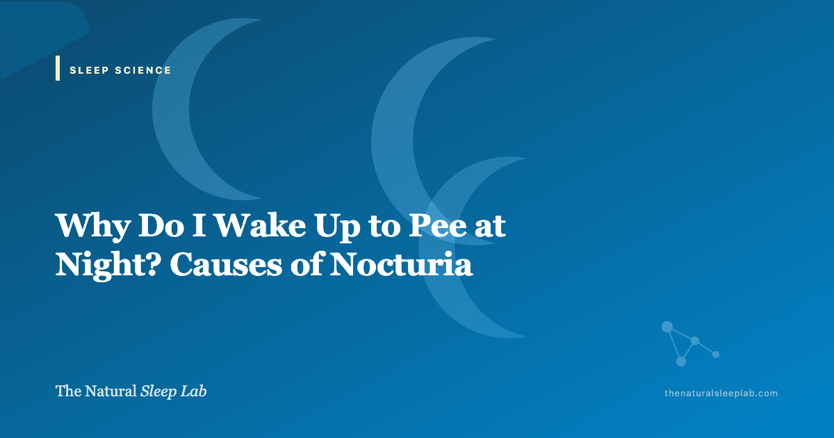 Why Do I Wake Up to Pee at Night? Causes of Nocturia — The Natural Sleep Lab illustrated guide