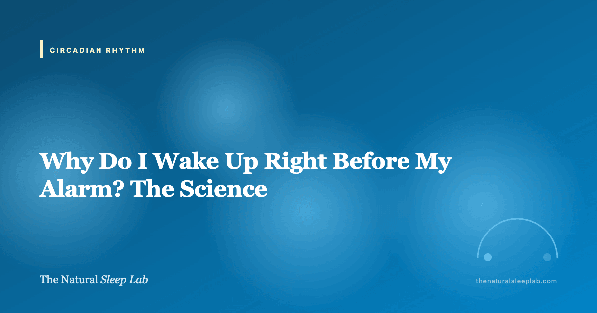 Why Do I Wake Up Right Before My Alarm? The Science — The Natural Sleep Lab illustrated guide