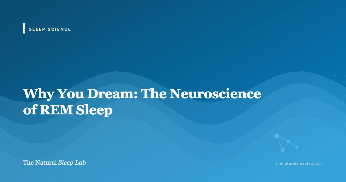 Why You Dream: The Neuroscience of REM Sleep — The Natural Sleep Lab illustrated guide